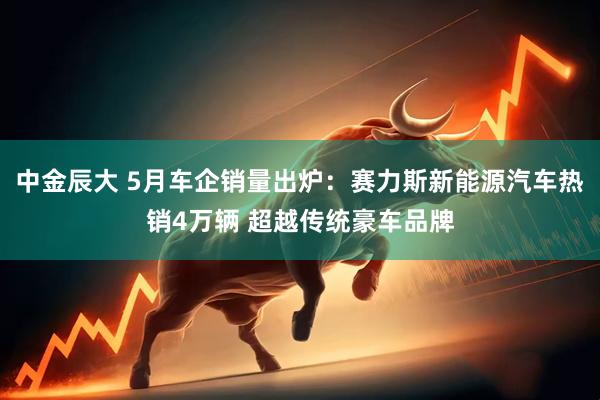 中金辰大 5月车企销量出炉：赛力斯新能源汽车热销4万辆 超越传统豪车品牌
