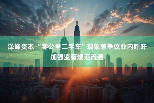 泽峰资本 “零公里二手车”现象惹争议业内呼吁加强监管规范流通