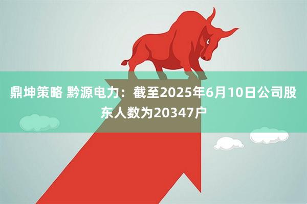 鼎坤策略 黔源电力：截至2025年6月10日公司股东人数为20347户