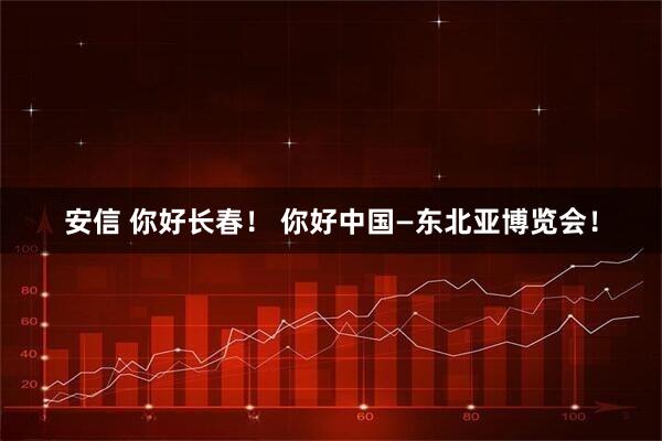 安信 你好长春！ 你好中国—东北亚博览会！