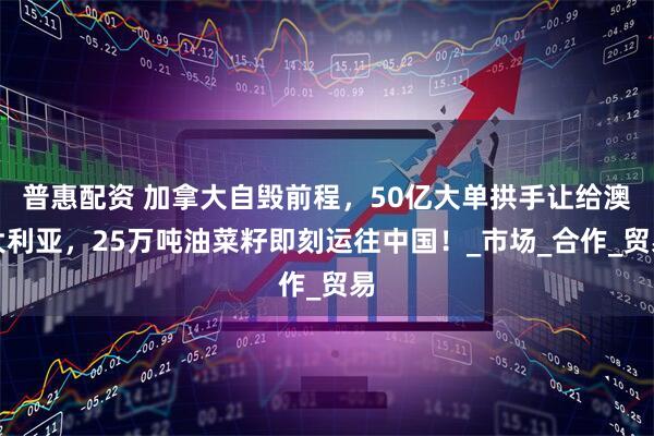 普惠配资 加拿大自毁前程，50亿大单拱手让给澳大利亚，25万吨油菜籽即刻运往中国！_市场_合作_贸易