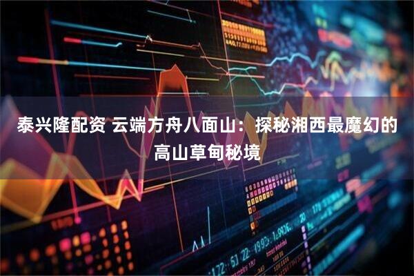 泰兴隆配资 云端方舟八面山：探秘湘西最魔幻的高山草甸秘境