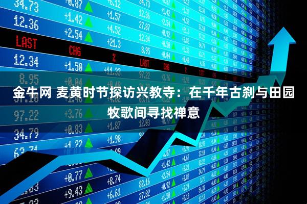 金牛网 麦黄时节探访兴教寺：在千年古刹与田园牧歌间寻找禅意
