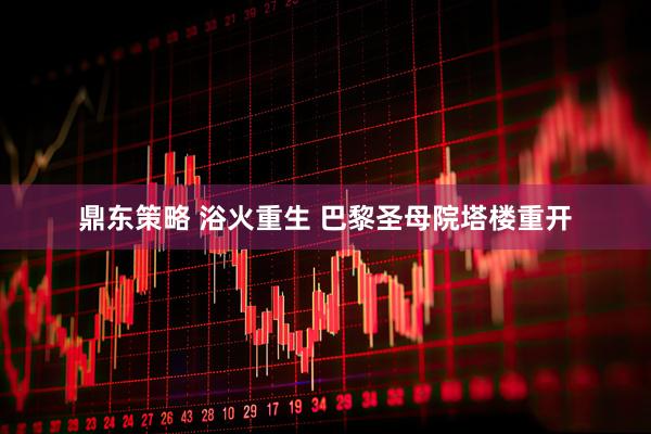 鼎东策略 浴火重生 巴黎圣母院塔楼重开