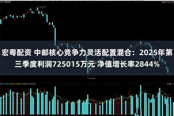 宏粤配资 中邮核心竞争力灵活配置混合：2025年第三季度利润725015万元 净值增长率2844%